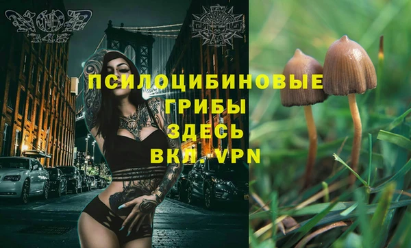 кокс Новокубанск