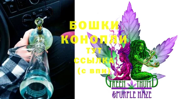 СК Новозыбков