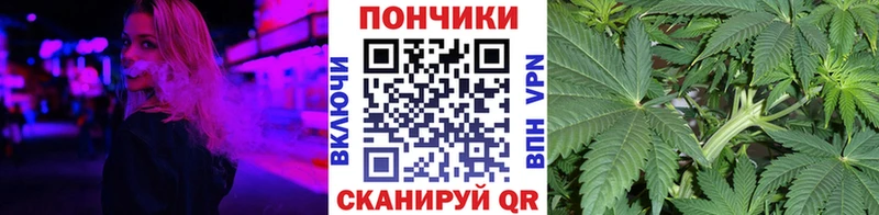 Канабис план  Стародуб 